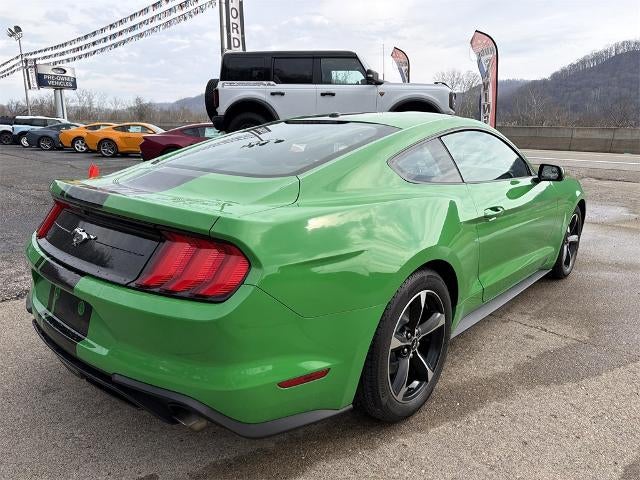2019 Ford Mustang EcoBoost